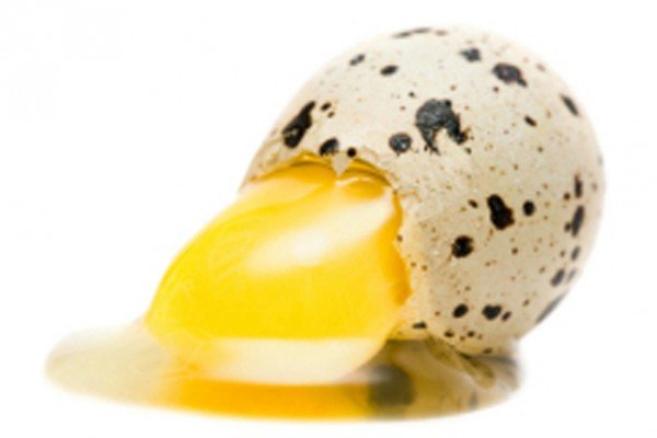 разбитое перепелиное яйцо