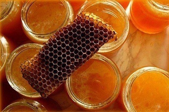 Мед и соты