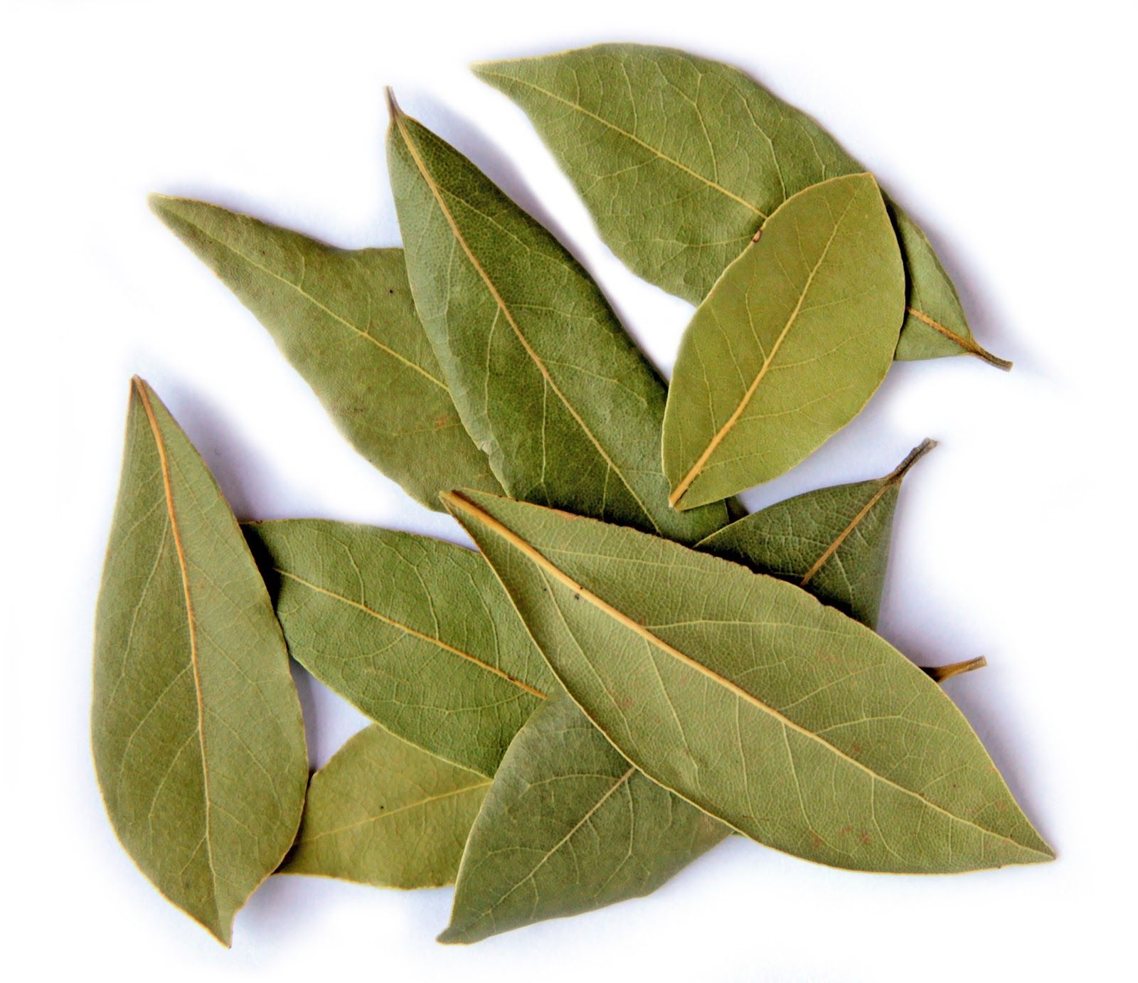 Использование лаврового и других целебных листьев при сахарном диабете