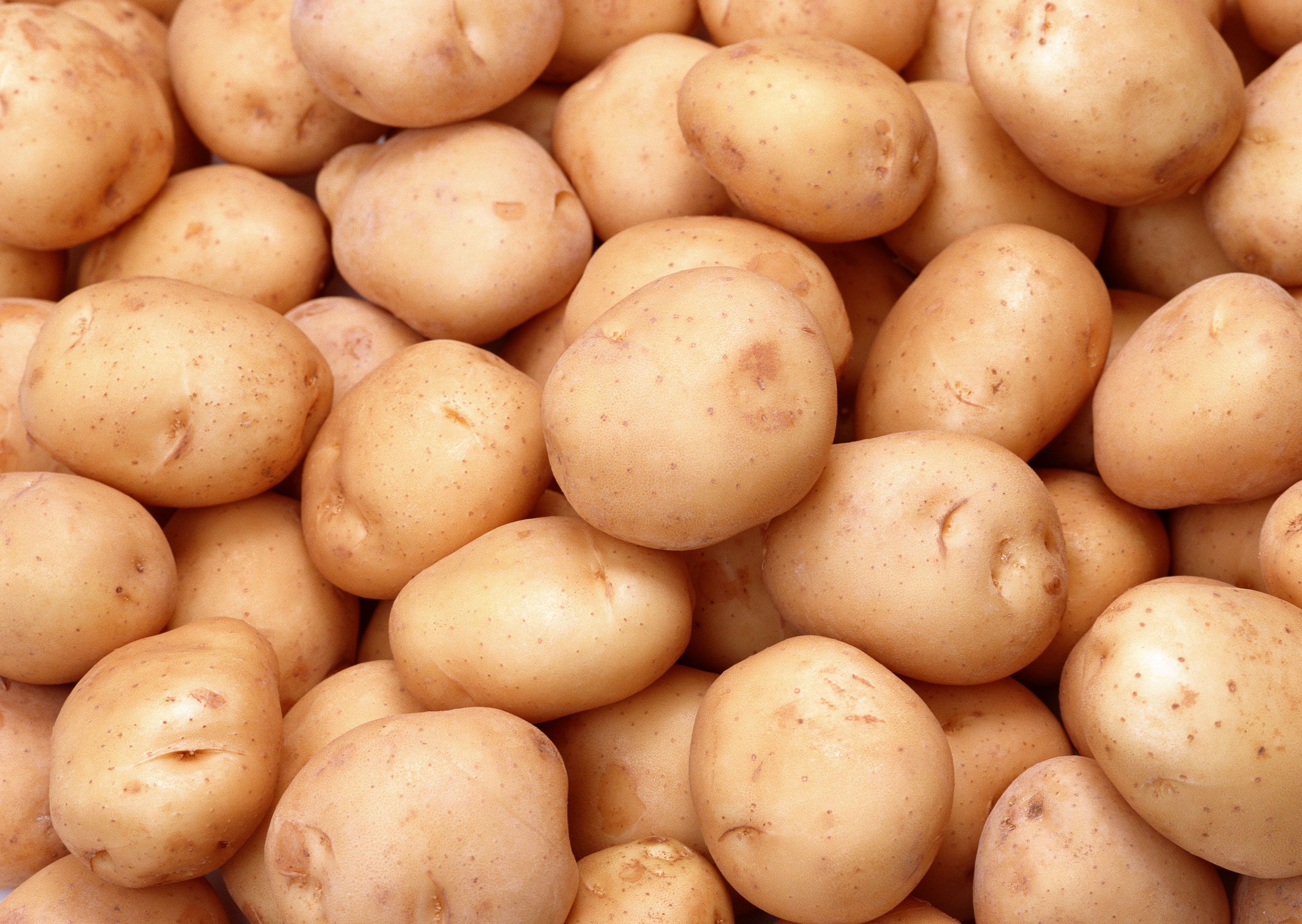 Картофель, чеснок, капуста и другие овощи помогут в лечении геморроя