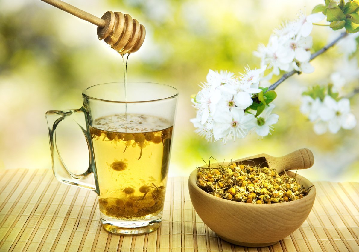 Лечим бронхит народными. Чай с медом. Чай с травами и медом. Чай с ромашкой и медом. Чай "Ромашка".