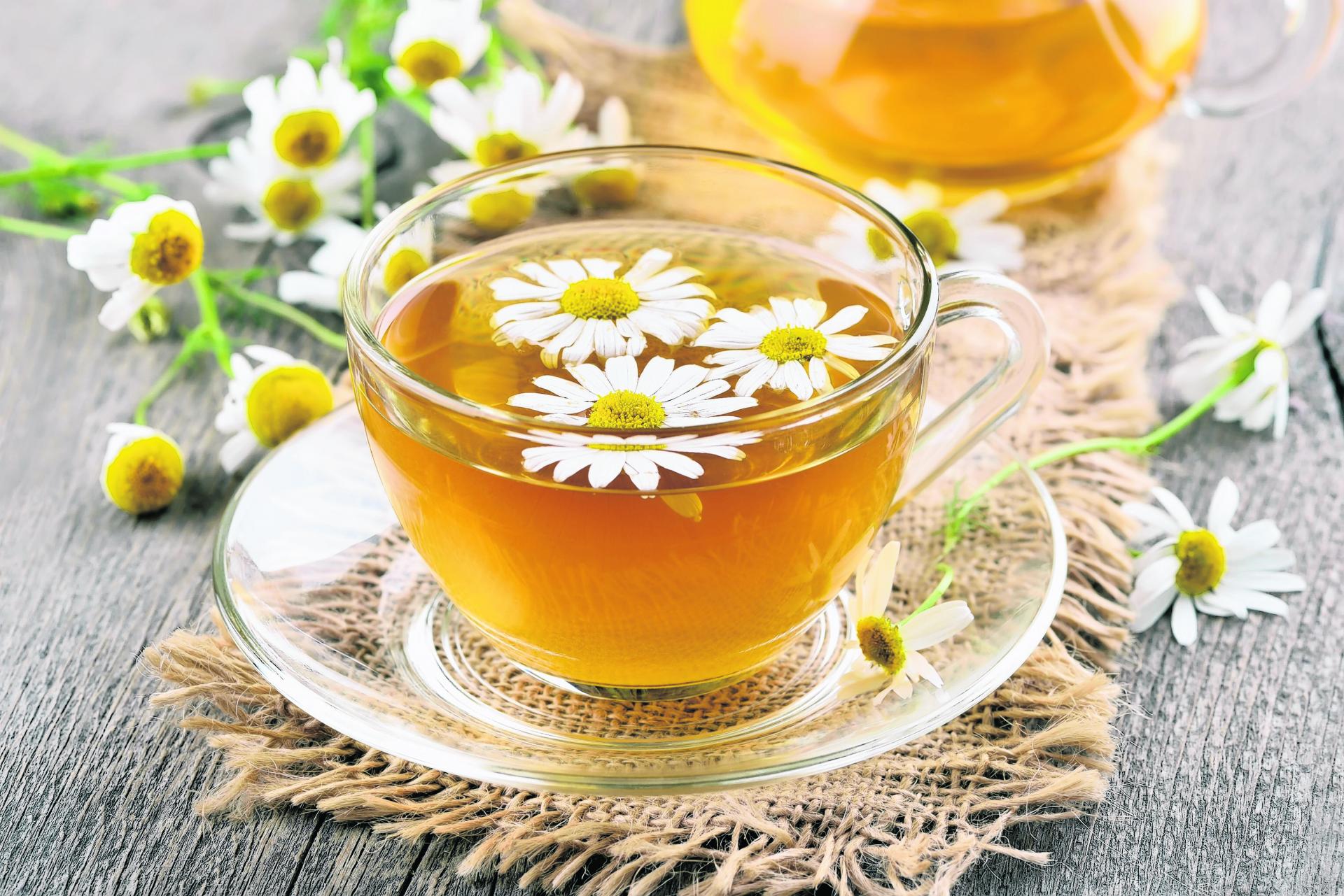 Ромашковый чай — напиток красоты и здоровья